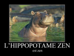 Yoda, l'Hippopotame Zen